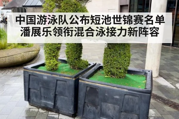 中国游泳队公布短池世锦赛名单 潘展乐领衔混合泳接力新阵容（jiuyou game）